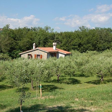 Olivahouse Villa Marezige Exterior photo